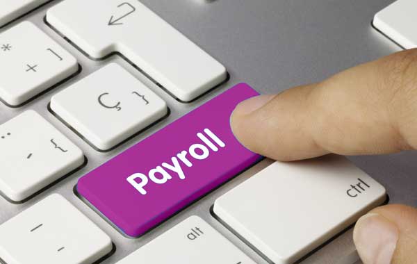 employer-insurance-payroll-salary-services